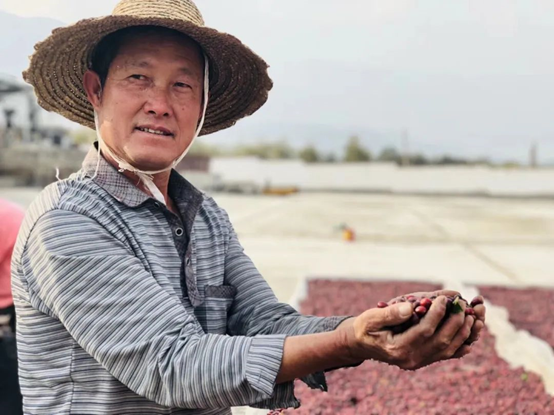 2020云南咖啡生豆大賽兩岸共33個(gè)站點(diǎn)即將火熱開賽! 2020云南咖啡生豆大賽兩岸共33個(gè)站點(diǎn)即將火熱開賽!
